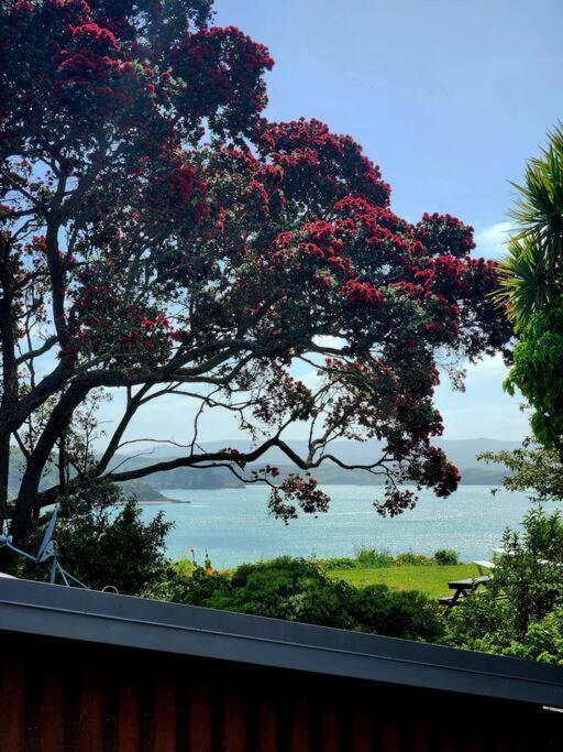 Orca Lodge Raglan Esterno foto